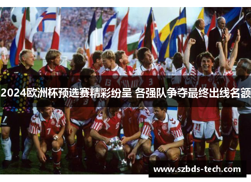 2024欧洲杯预选赛精彩纷呈 各强队争夺最终出线名额