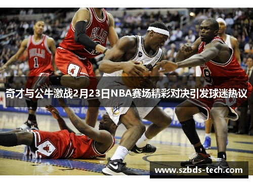 奇才与公牛激战2月23日NBA赛场精彩对决引发球迷热议