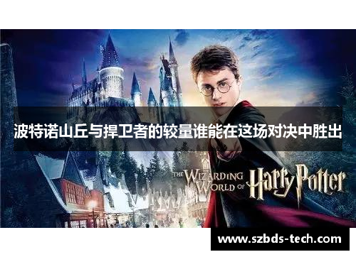 波特诺山丘与捍卫者的较量谁能在这场对决中胜出