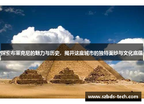 探索布莱克尼的魅力与历史，揭开这座城市的独特面纱与文化底蕴