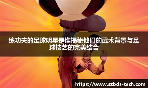 三亿(集团)体育