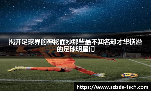 三亿(集团)体育