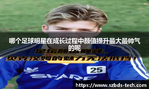 三亿体育官网入口